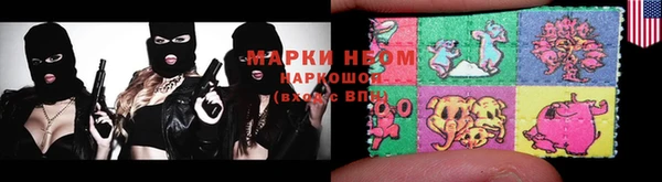 ПСИЛОЦИБИНОВЫЕ ГРИБЫ Корсаков