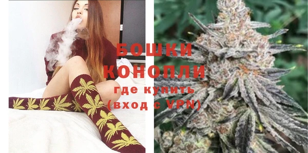 PSILOCYBIN Ладушкин