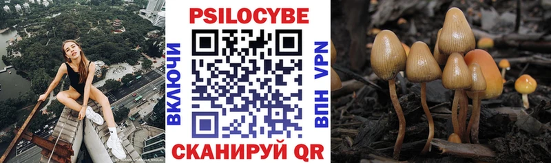 Купить  Любим  Галлюциногенные грибы прущие грибы 