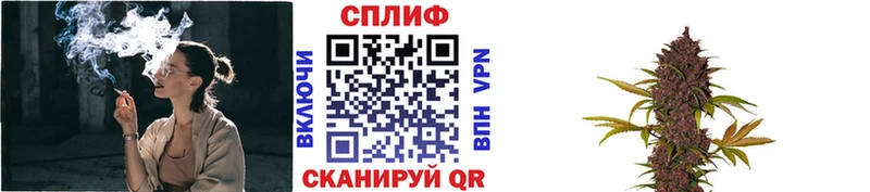Купить  Любим  Марихуана сатива 